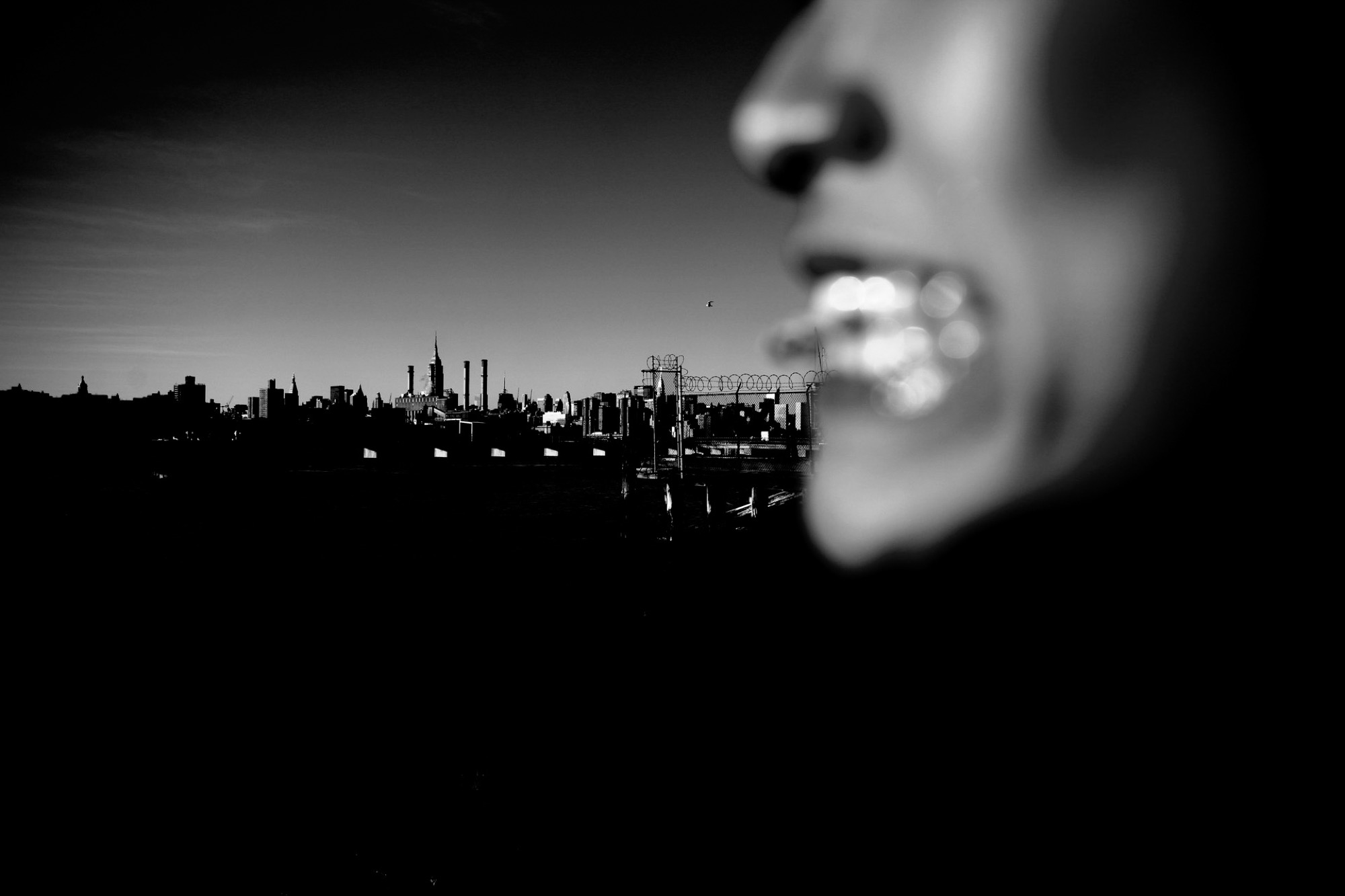 williamsburg — parts of life by Robin Cerutti
